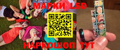 тгк Кингисепп