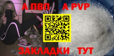 тгк Кингисепп