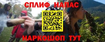 тгк Кингисепп