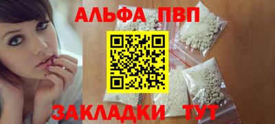 тгк Кингисепп
