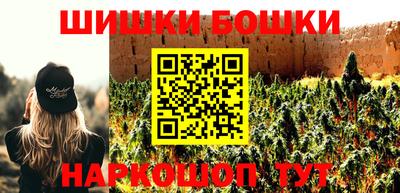 тгк Кингисепп