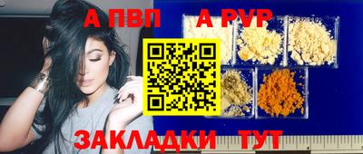 тгк Кингисепп