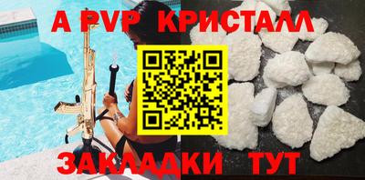 тгк Кингисепп
