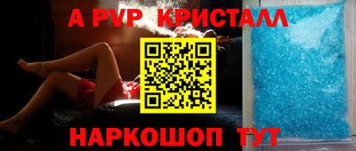 тгк Кингисепп