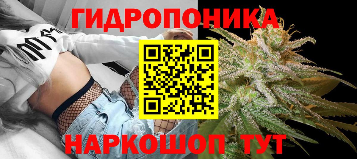 Канабис VHQ  Шишки марихуана SATIVA & INDICA  Вход с VPN  Кстово 